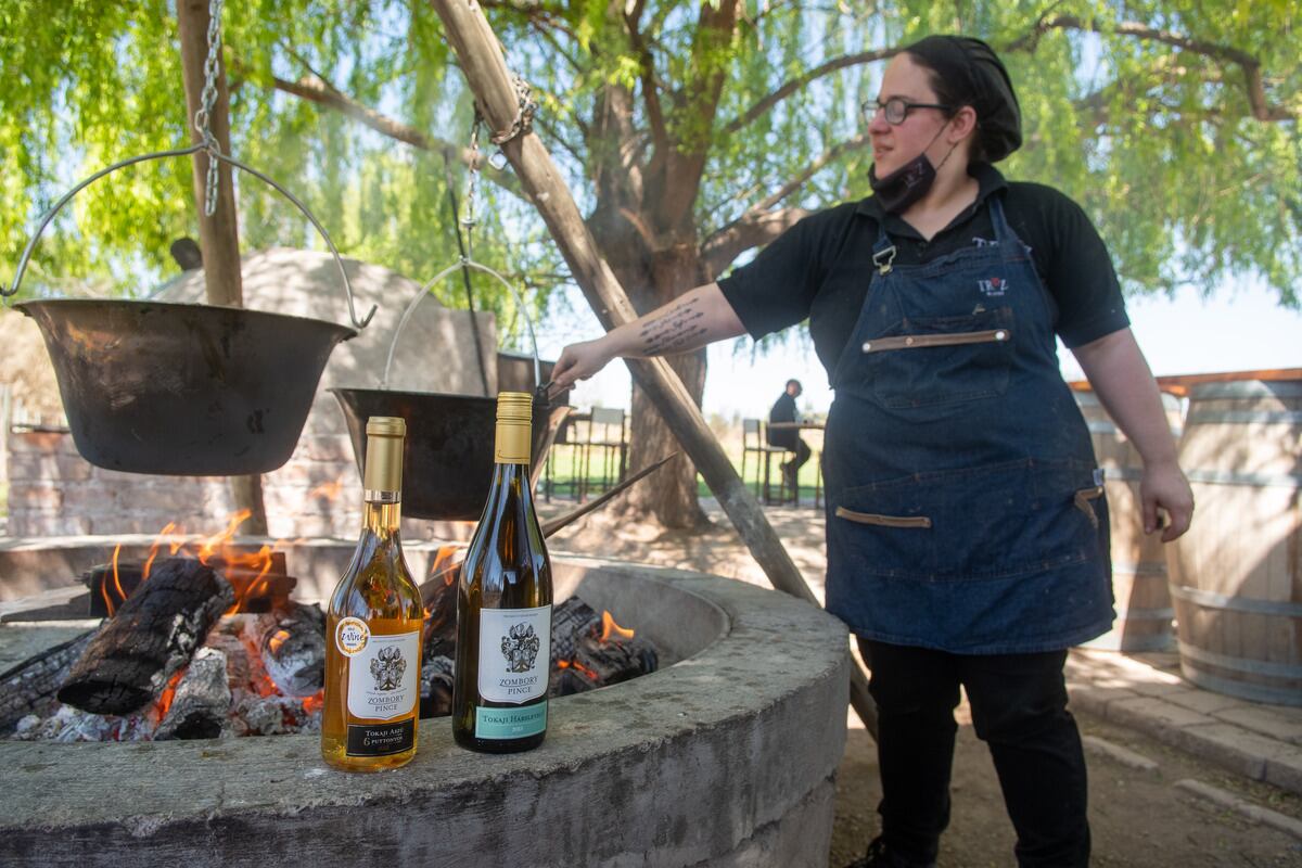 Degustación de vinos húngaros en  bodega  Trez Wines
 
