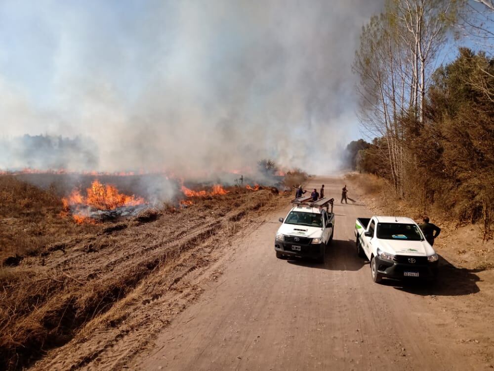 Trabajaron bomberos de la Policía y bomberos voluntarios de San Martín - Mariana Villa