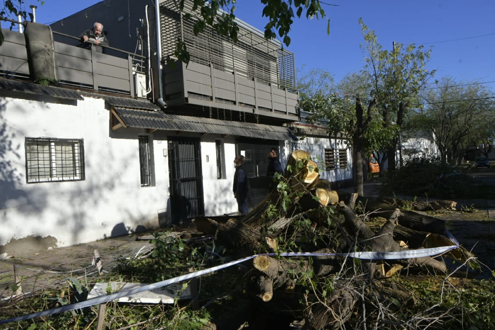 El día después de la catástrofe: Guaymallén, el departamento más golpeado por el temporal y sus consecuencias. En San José hubo varios árboles caídos. Foto: Orlando Pelichotti / Los Andes.