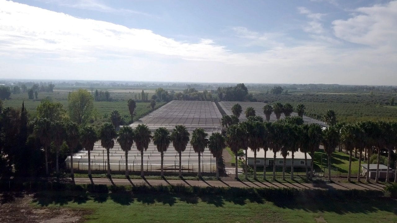 Cinturón verde. El departamento más poblado en su área urbana es también el centro de la producción de verduras y hortalizas, a menos de 10km de la ciudad capital.