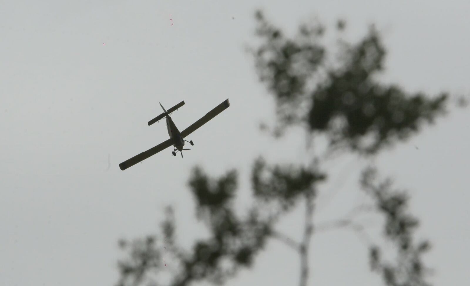 6 aeronaves y más de 200 personas: así trabajan por tierra y aire para controlar los incendios en el piedemonte. Foto: Prensa Gobierno de Mendoza