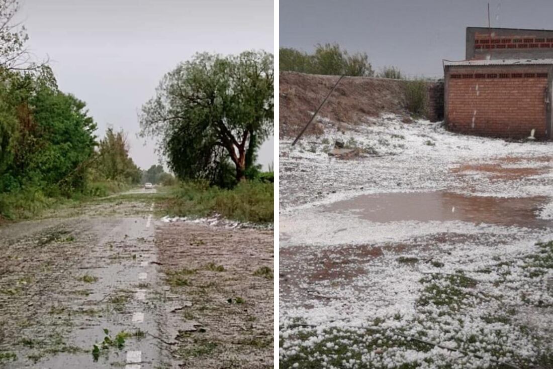 Así lucía el Este provincial tras la fuerte caída de granizo (Gentileza)