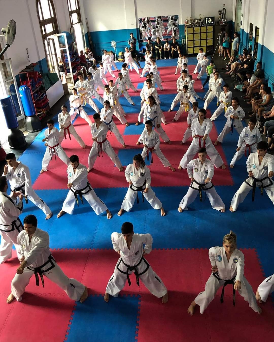 La Asociación Profesional de Taekwondo de Mendoza invita a festejar la 10° Edición del Torneo Copa Provincia de Mendoza, en el Polimeni. / Gentileza.