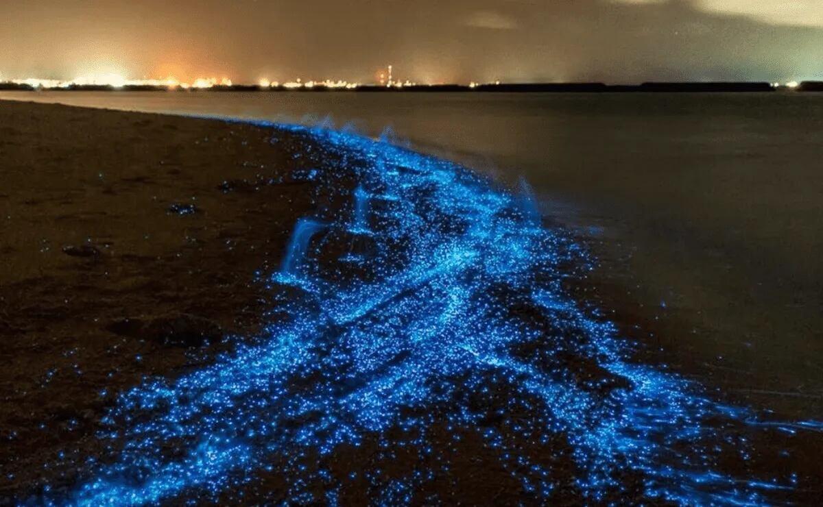 Esto significa soñar con las olas del mar. (Web)