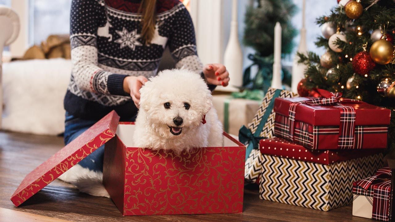 Estos son los mejores y peores regalos para entregar este 25 de diciembre.