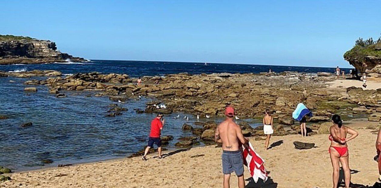 La playa Little Bay, que fue clausurada tras el ataque del tiburón. (Gentileza)