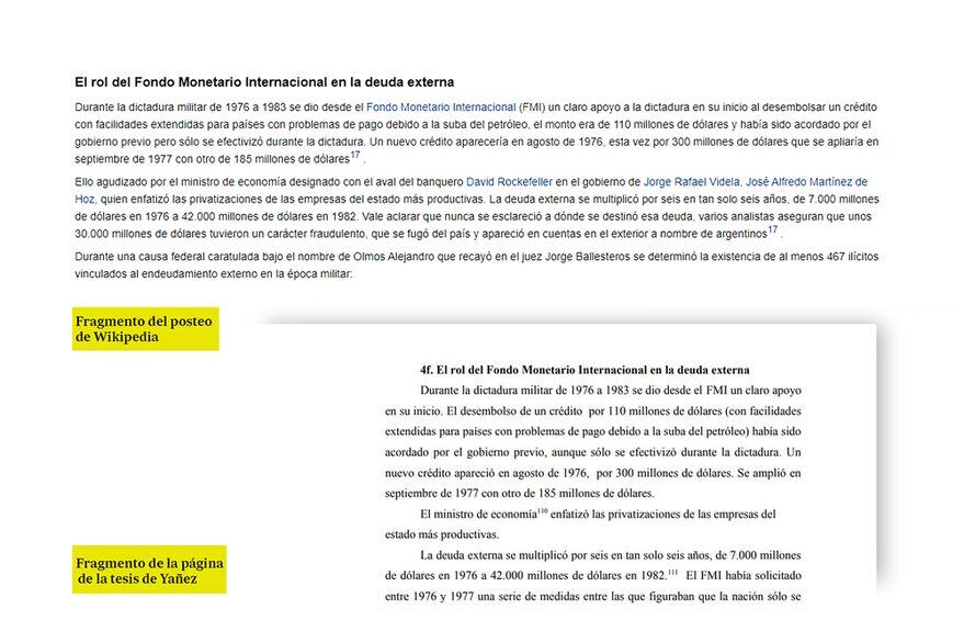 La Tesis de Yañez y las publicaciones en Wikipedia. Gentileza /La Nación.