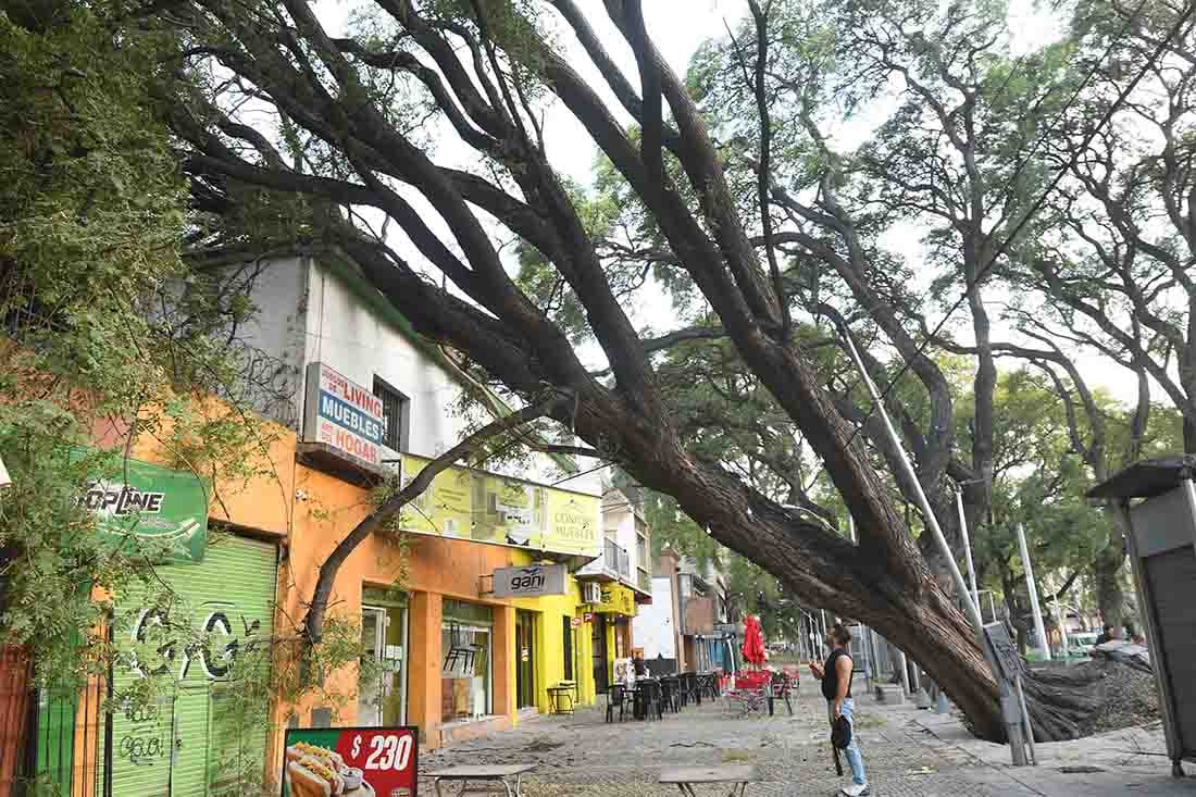 Foto: José Gutierrez/ Los Andes 