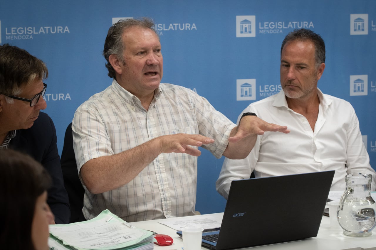 En la Legislatura comenzo el debate y estudio en comiciones de Ambiente y Mineria del proyecto minero Cerro Amarillo
 
 Foto: Ignacio Blanco / Los Andes 