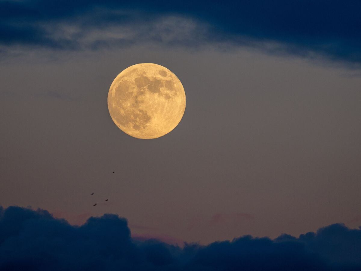 La Luna llena