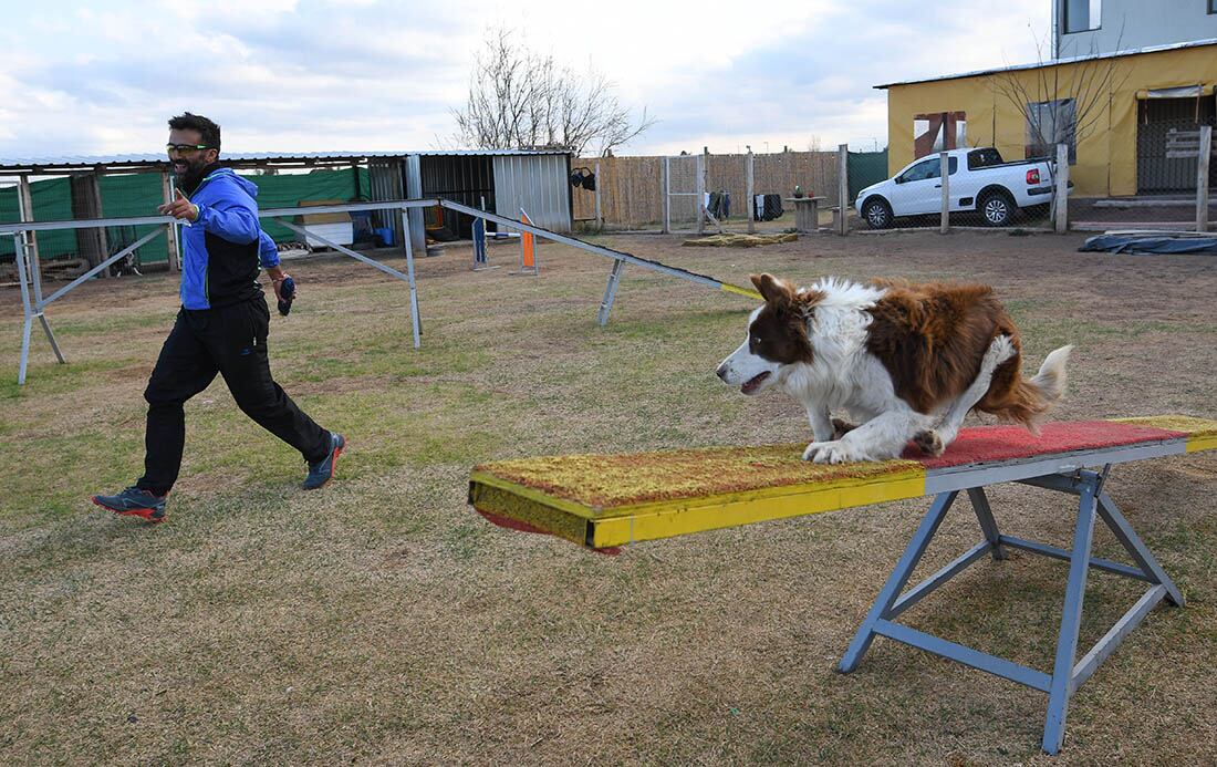 Choco Malbec funciona desde el 2012 con adiestramiento canino y entre el 2013 y 2014 comienza con el agility.