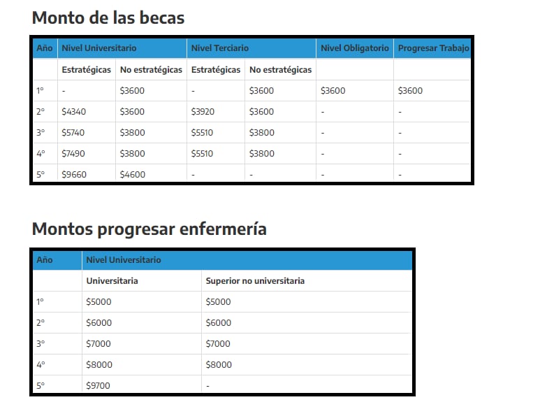 Becas Progresar y Progresar Enfermería: montos a cobrar 