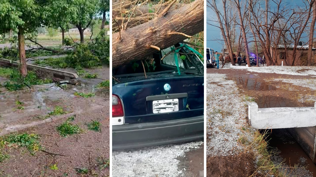 La intensa tormenta de granizo en Santa Rosa dejó un muerto y daños graves en cultivos.