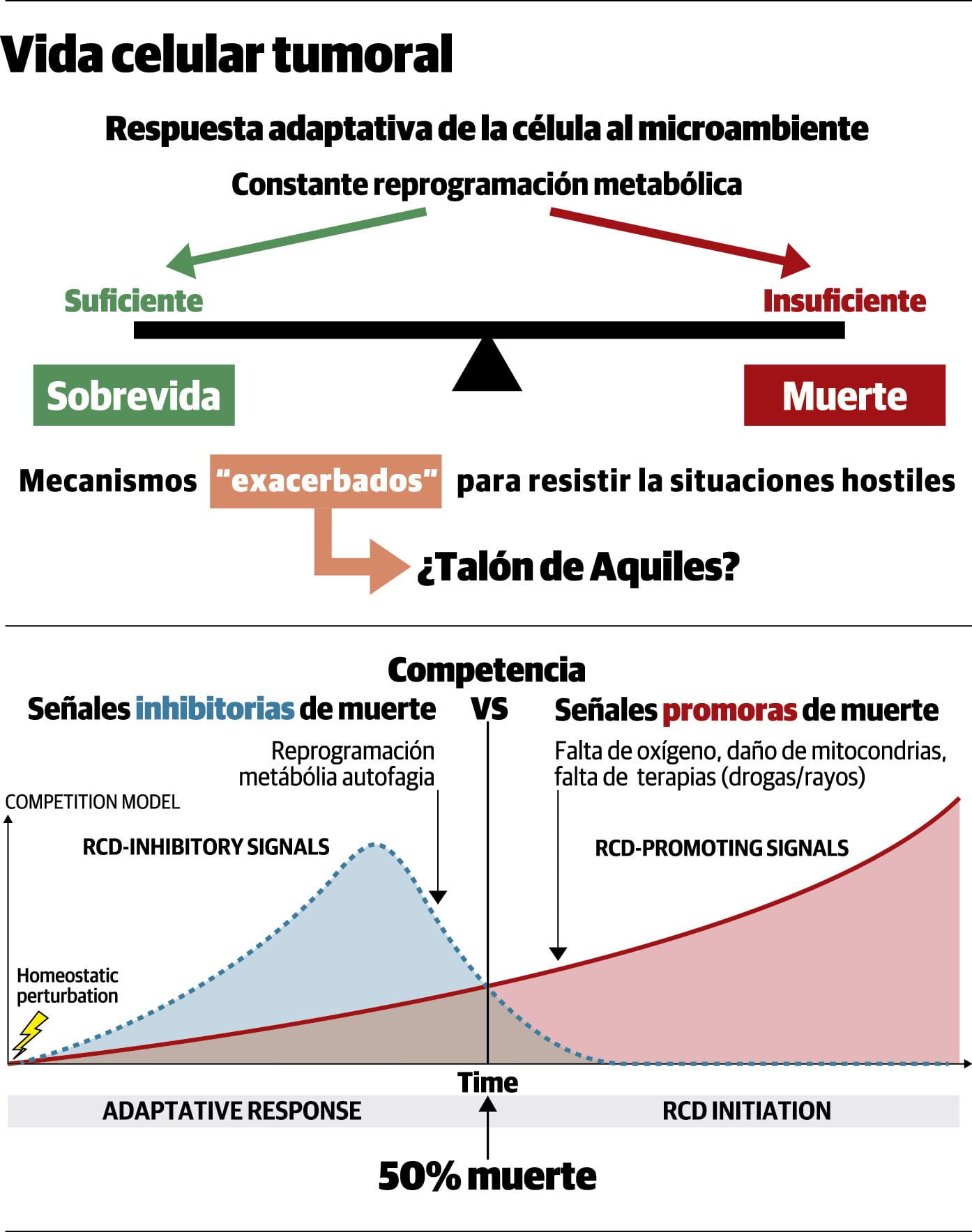 Vida celular tumoral.