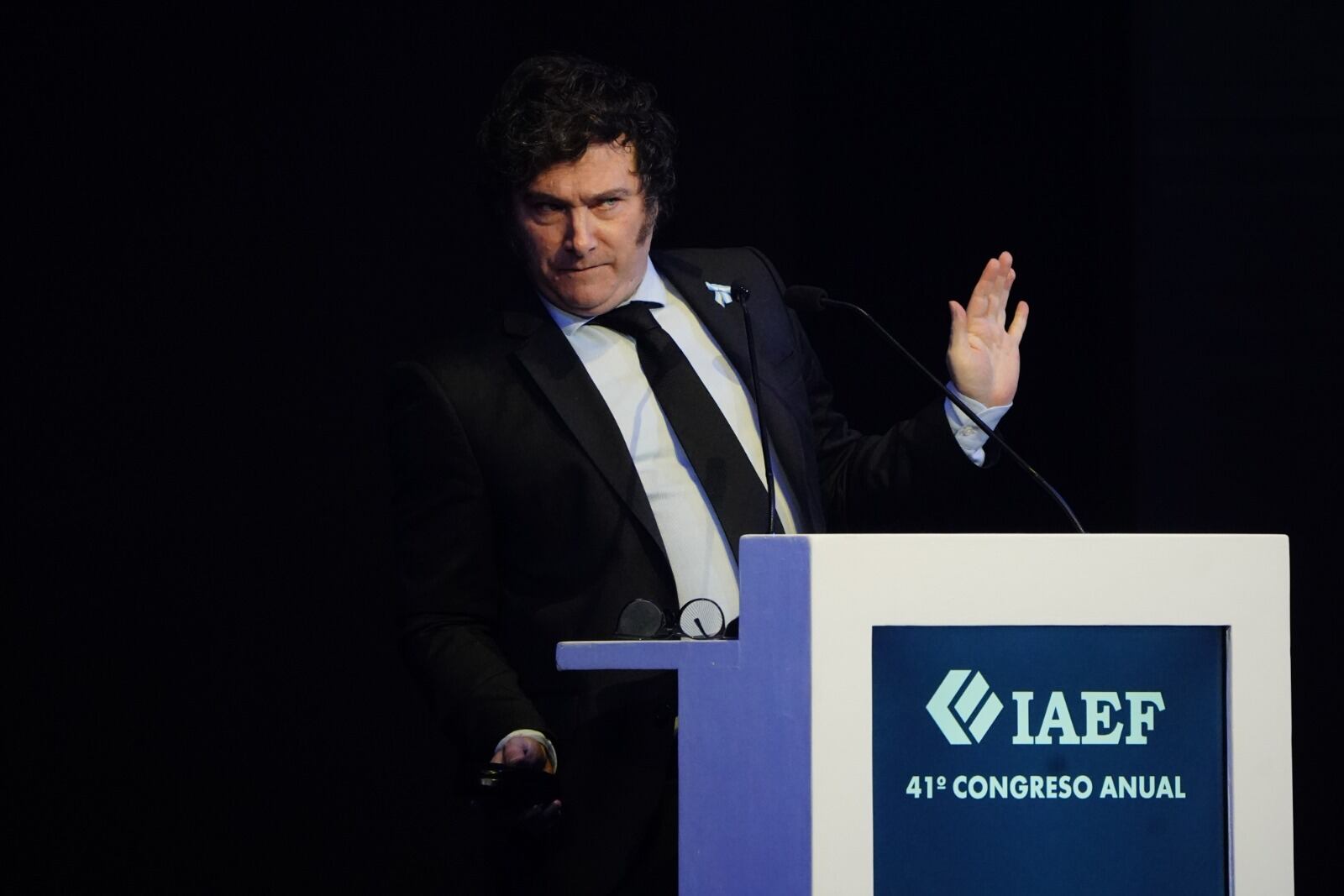 Javier Milei en el IAEF - Foto Clarín