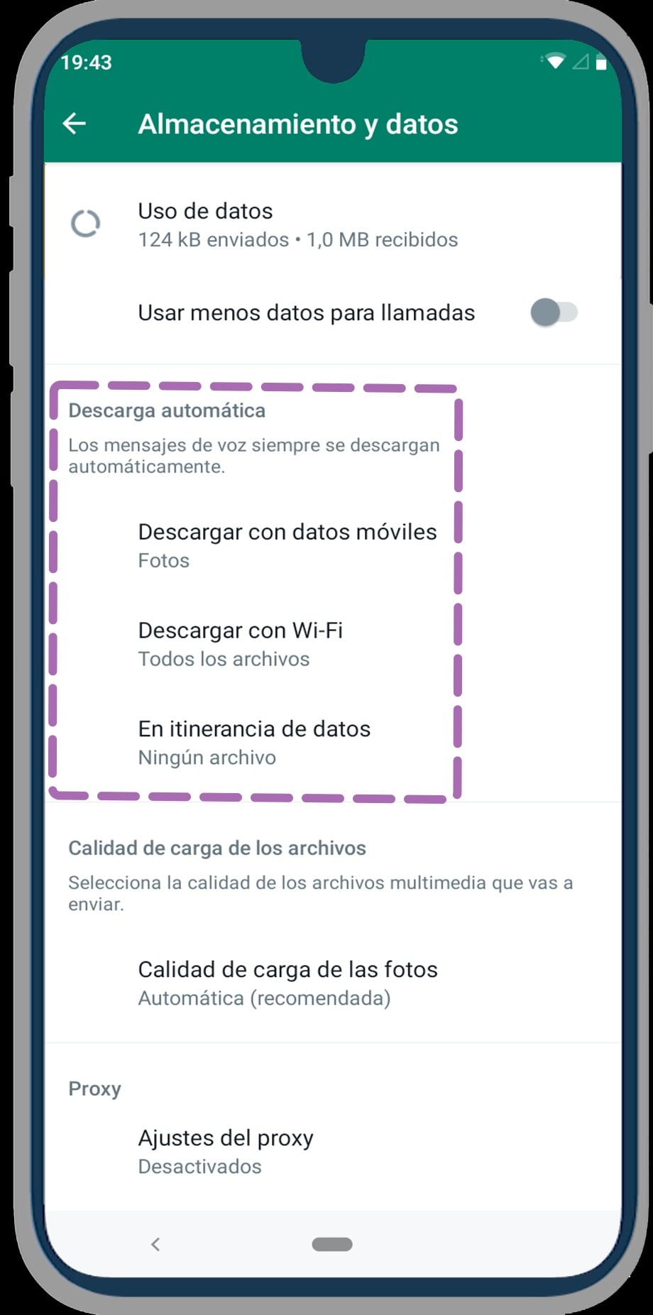 Cómo desactivar la descarga automática de archivos en WhatsApp