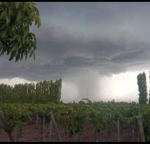 Tormenta en el Este mendocino (1 de febrero 2023)