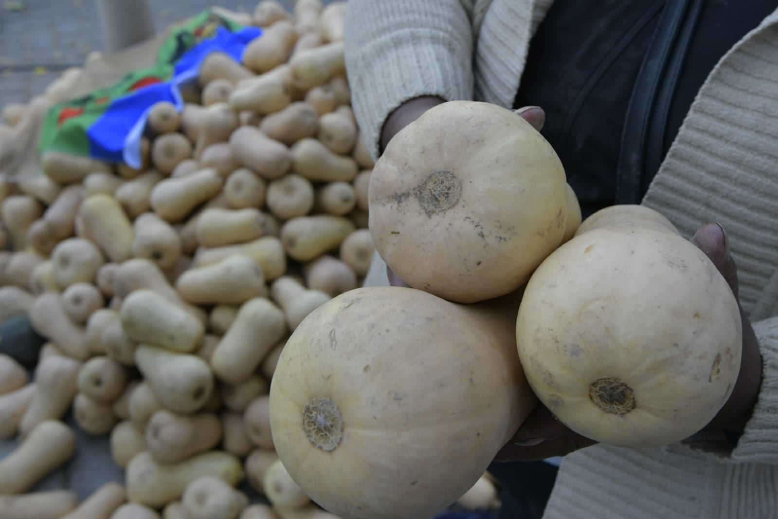 Los productores reciben apenas $5 por el kilo de zapallo y en las verdulerías supera los $40. - Orlando Pelichotti / Los Andes