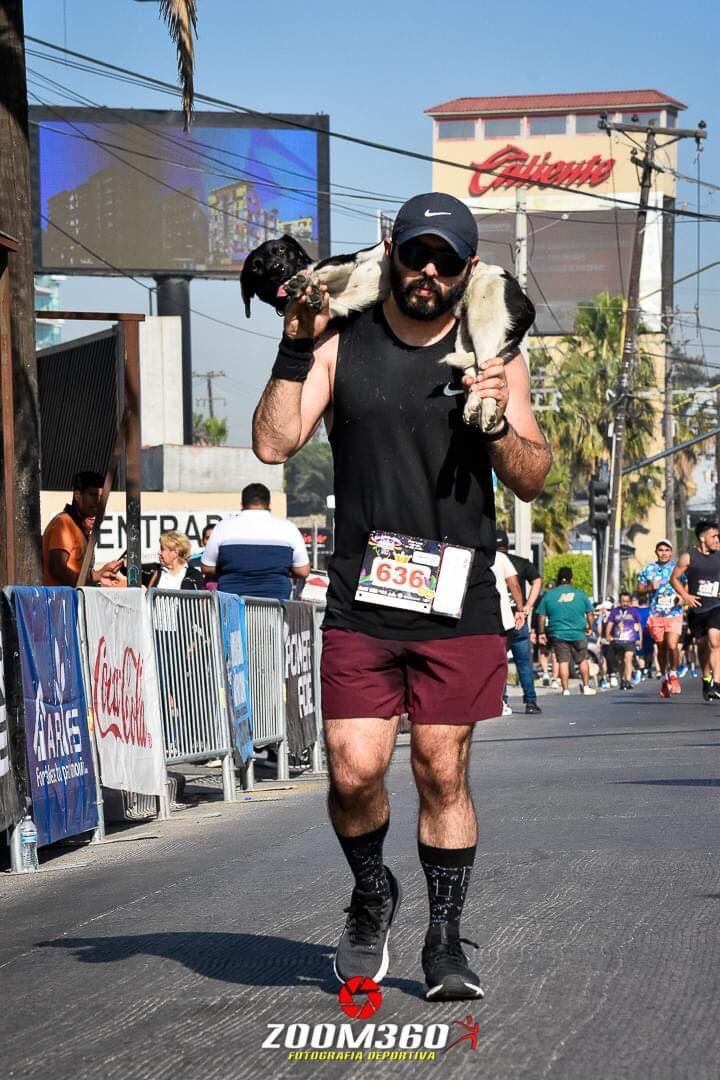 El deportista Carlos Morlett fue acusado de “solo querer tomarse una foto con el animal” / Twitter