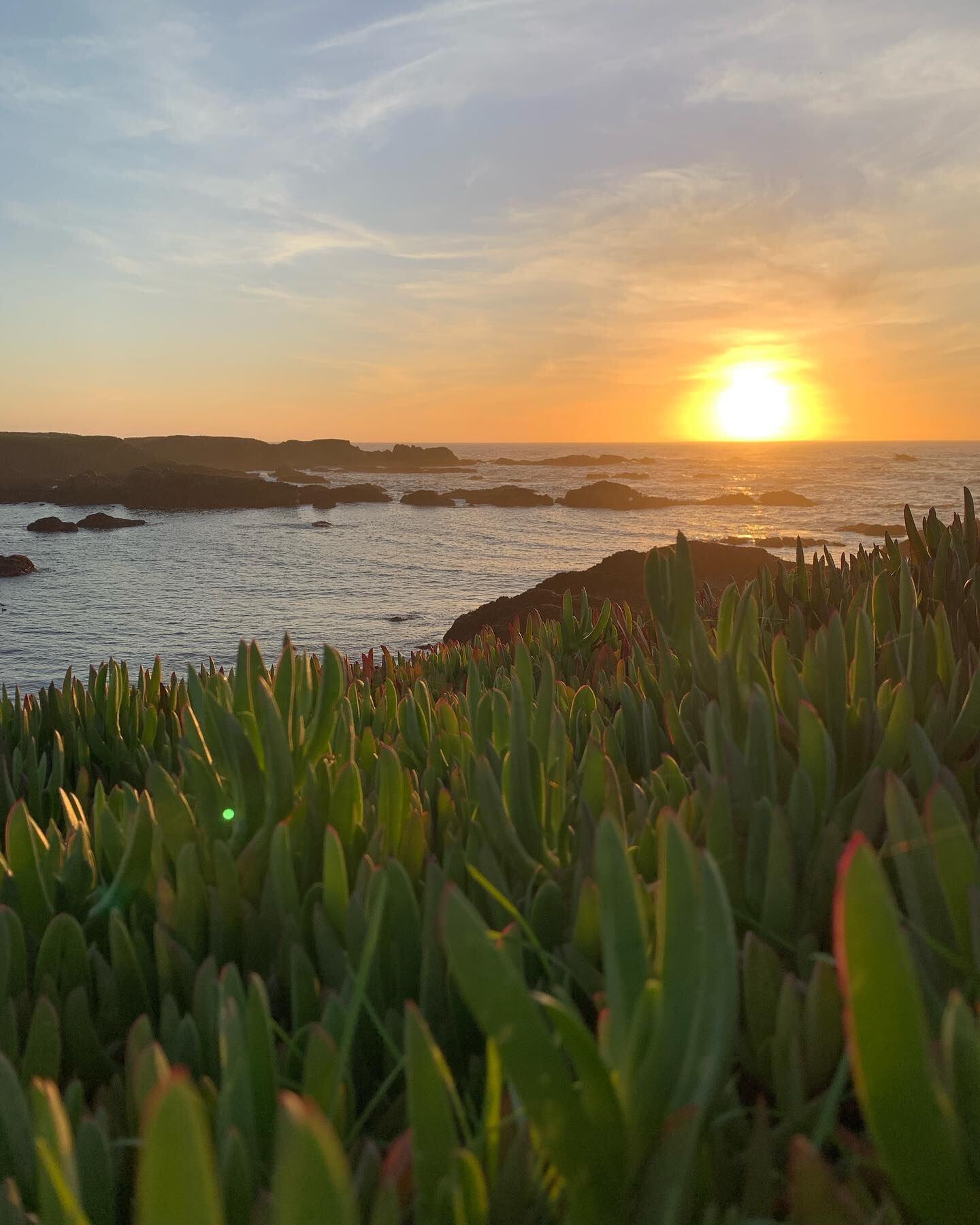 El lugar más “Mendocino” de California: un paraíso colonial oculto de bosques, naturaleza, ríos y mar azul. Foto: Facebook Love the Mendocino Coast