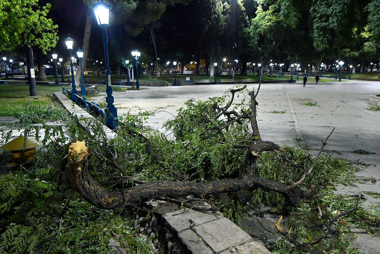  El viento Zonda bajó en la madrugada del viernes al Gran Mendoza y descargó toda su furia en las calles, dejando árboles caídos, acumulación de ramas y hojas. Aquí, la plaza Independencia. | Foto:  Orlando Pelichotti / Los Andes