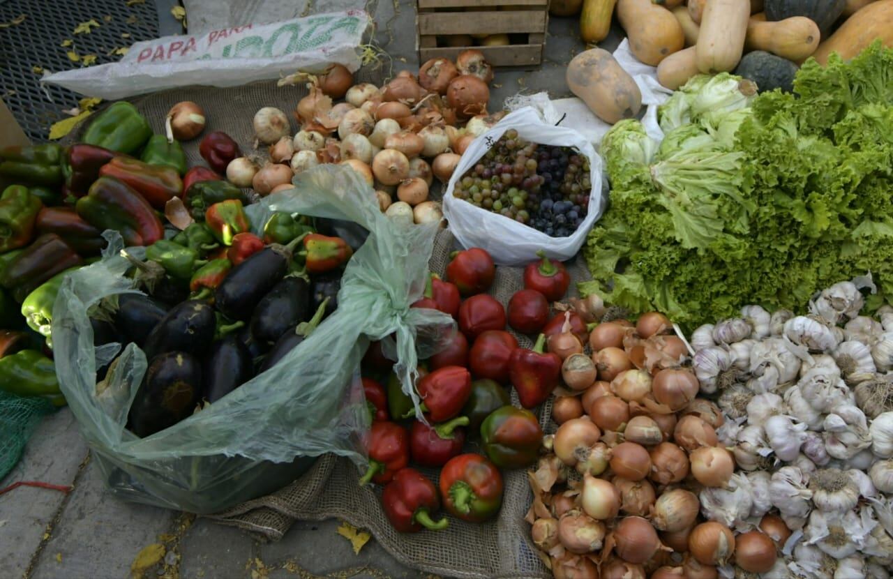 Tomate, zapallo, pimientos, ajo, berenjenas y mucho más entregaron esta mañana. - Orlando Pelichotti / Los Andes