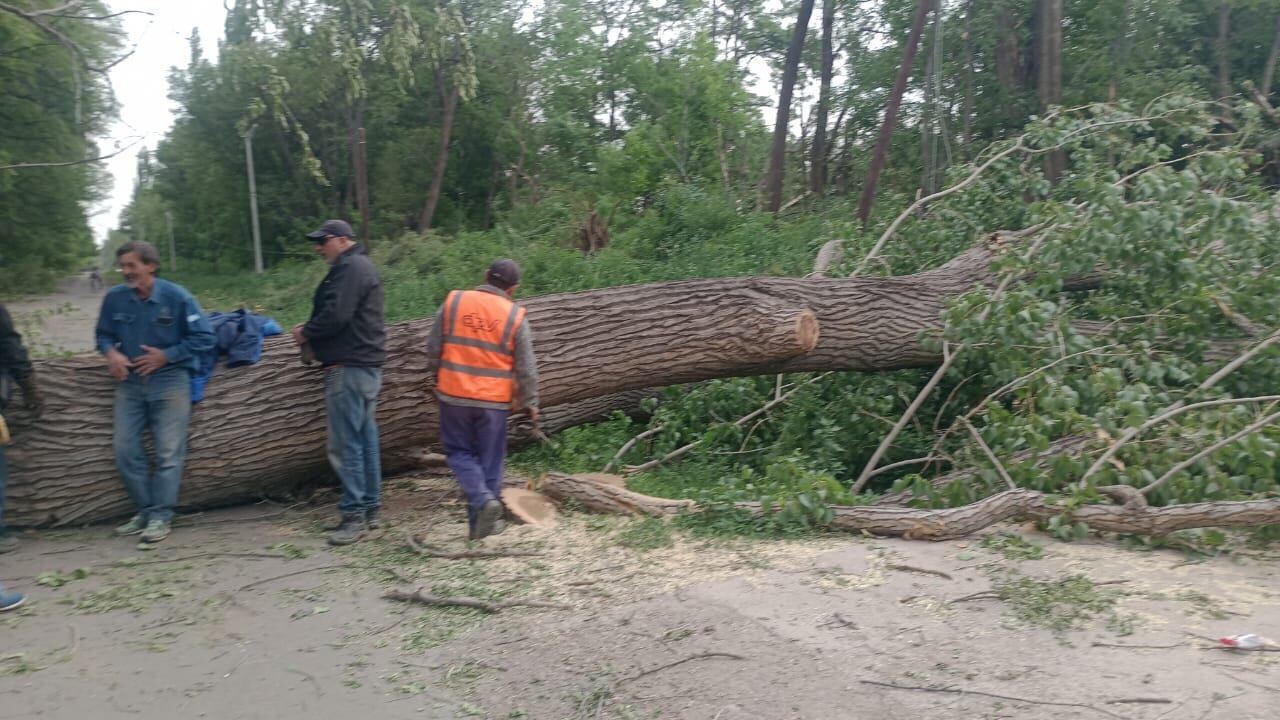 Un centenar de viajeros quedaron atrapados en el camino de San Carlos a causa de la baja visibilidad por polvo suspendido en la zona. 
Foto: Prensa Gobierno de Mendoza