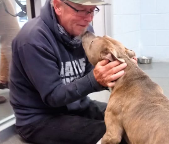 La cara de felicidad de Blue, cuando se disponía a dirigirse a su nueva casa con su querido dueño no tiene comparación