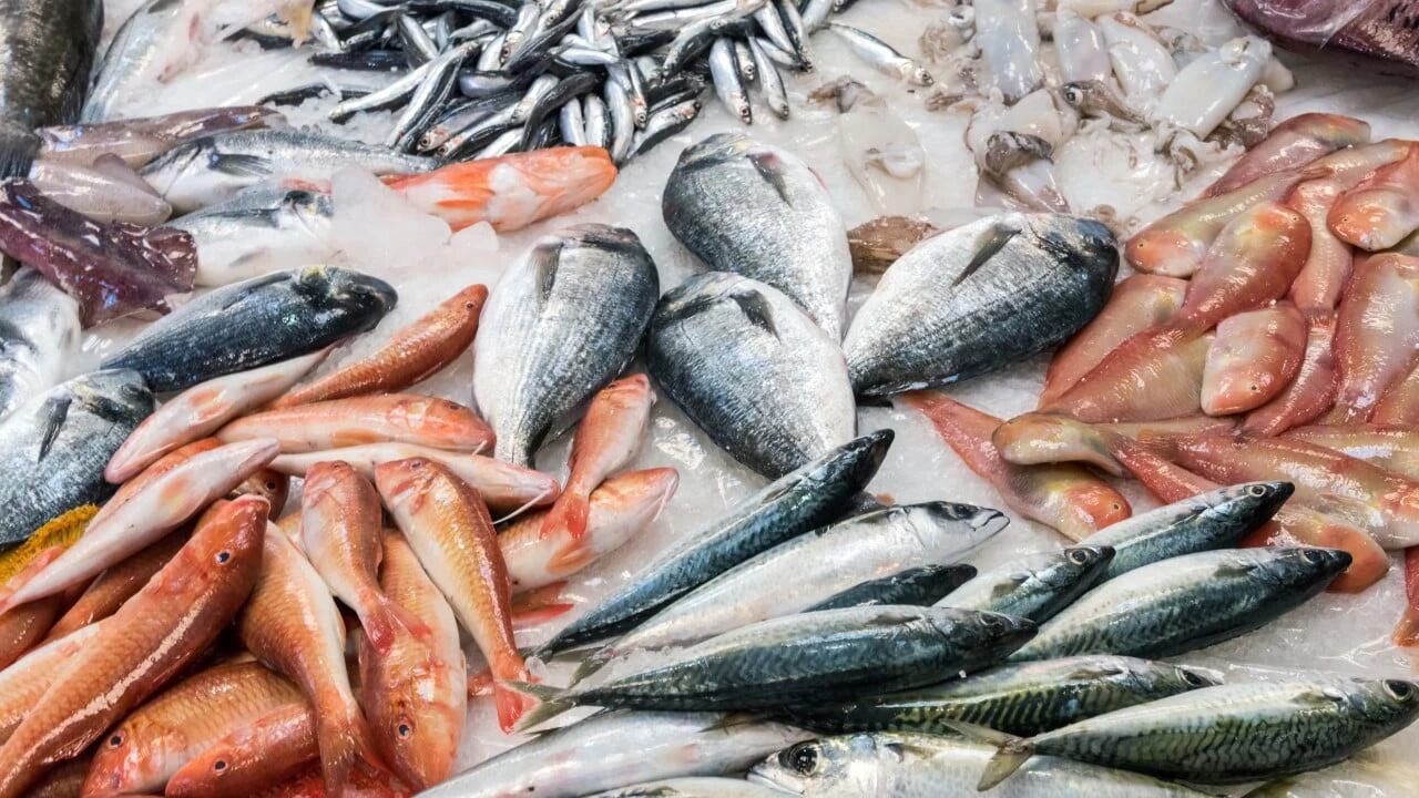 Cuáles beneficios tiene comer pescado. / WEB