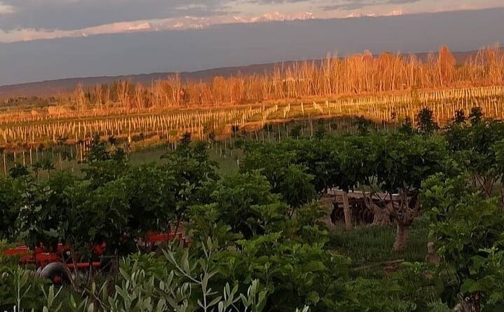 A futuro, el grupo de cuatro hermanos sueña con construir una pequeña posada para el turismo, junto al canal Tiburcio Benegas. “Queremos convertir nuestra finca en un lugar turístico, con la posibilidad de hacer un mini restaurante y un hospedaje", comentan.