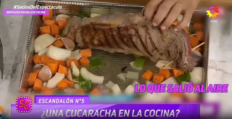 Una cucaracha apareció en la cocina de Jimena Monteverde.