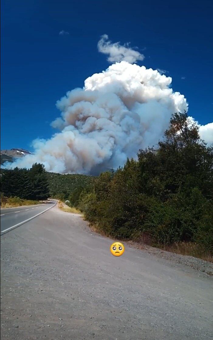 Usuarios de las redes postearon las imágenes del  Parque Nacional Los Alerces. Foto: X / @belensalles