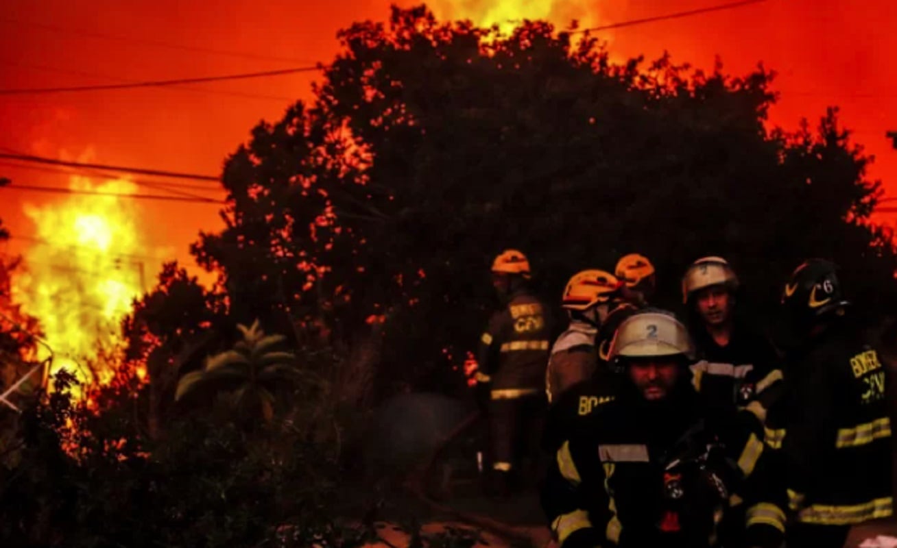 Incendios forestales en Viña del Mar, Chile (Gentileza / Agencia Uno)