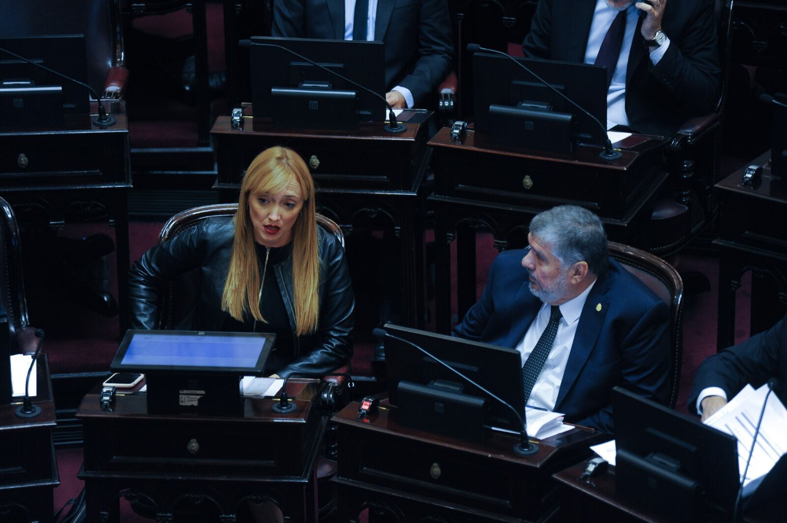 Anabel Fernández Sagasti, del Frente de Todos, cruzó al gobierno mendocino (Foto: Federico López Claro)