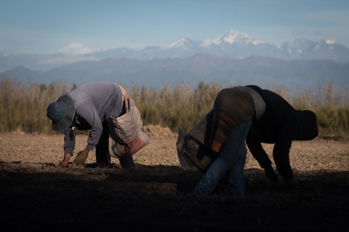 Foto: Ignacio Blanco / Los Andes