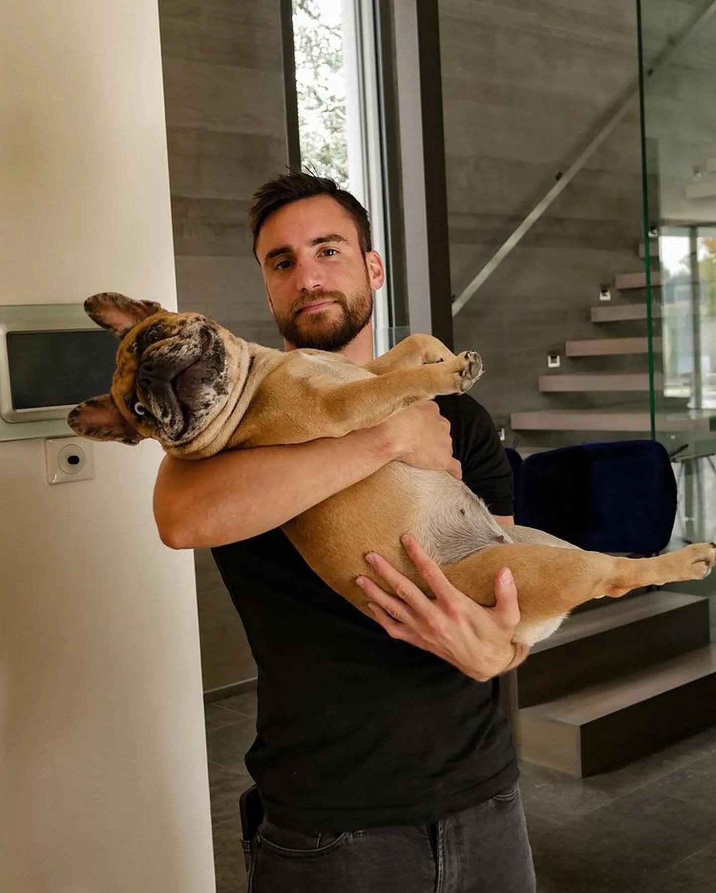 Así lucen los perros de Nico Tagliafico y Carolina Cavalgni.