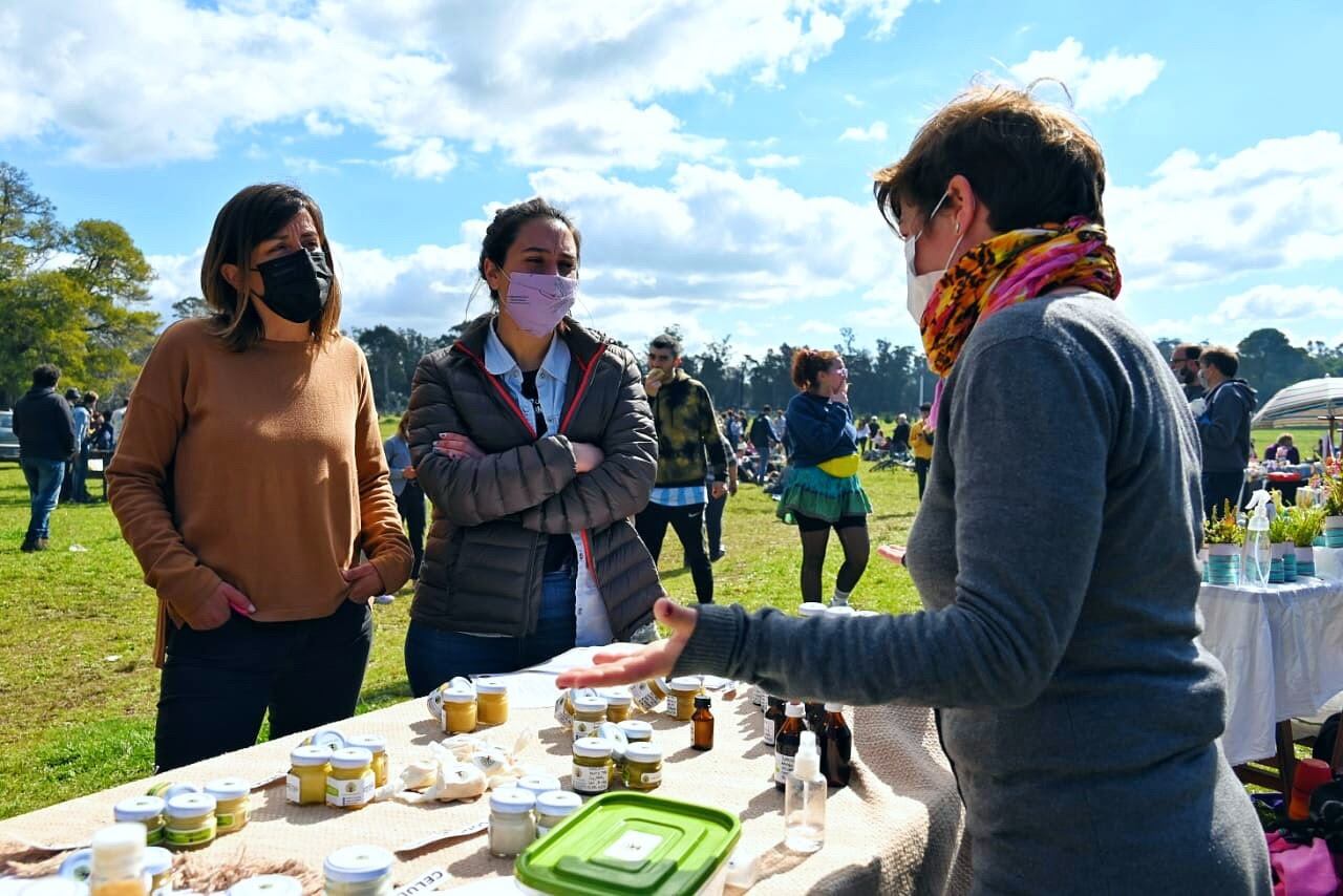 Se pueden conseguir en ferias, tiendas orgánicas y dietéticas