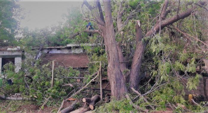 Asistieron a casi 1.000 familias afectadas por la última tormenta.