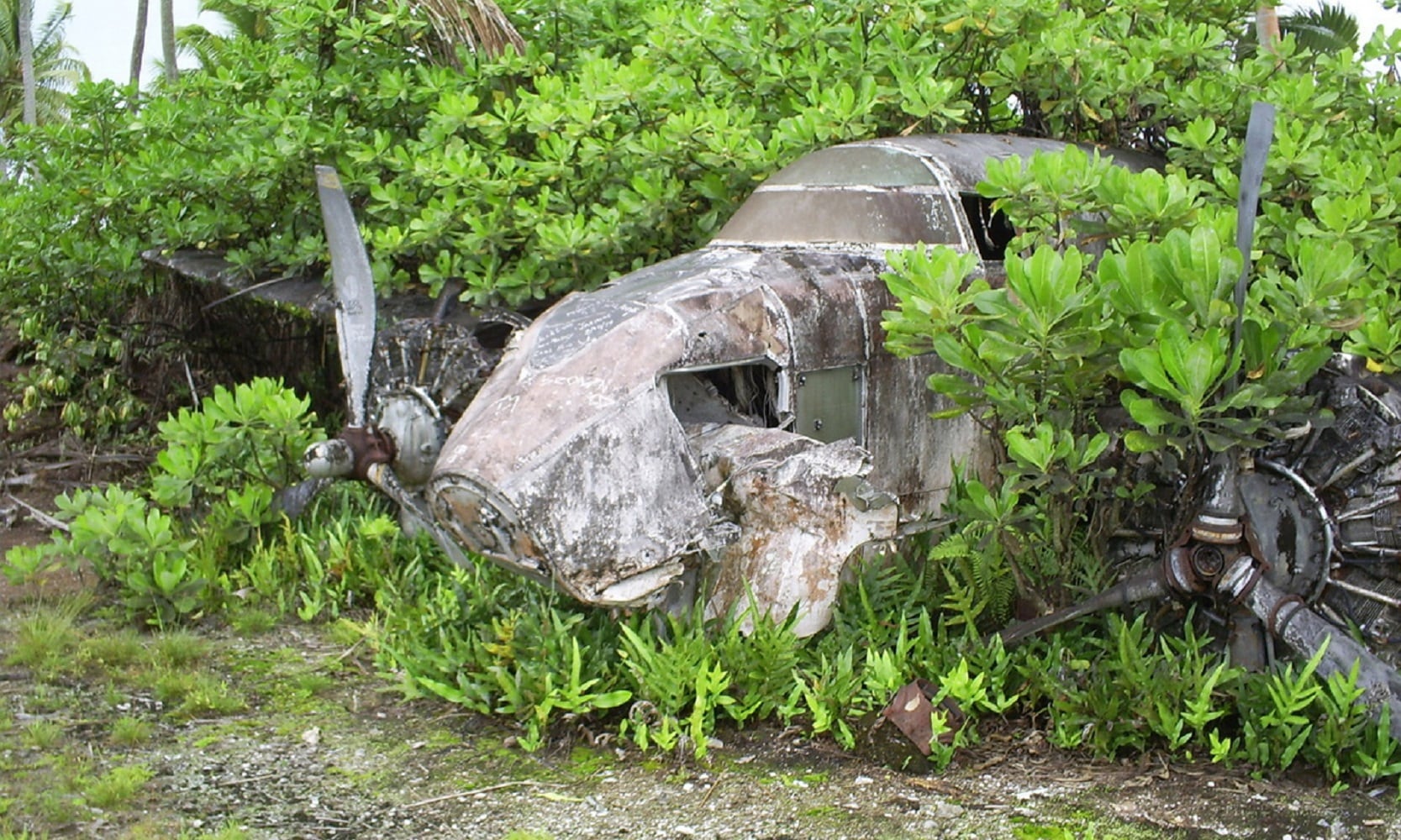 Un avión abandonado en el atolón - Gentileza Michael Murray