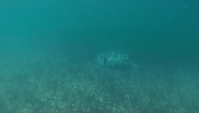 Descubrieron la estatua de un minotauro en el fondo de un lago. Foto LMNeuquén.