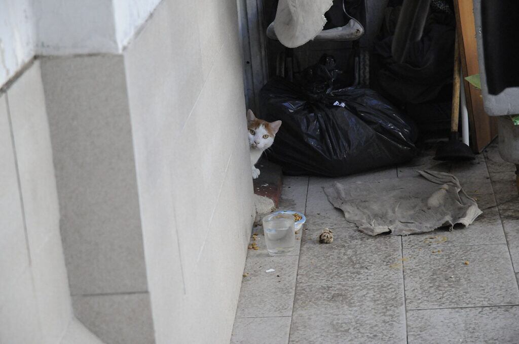 La habitación de Fernando, el victimario. La puerta está cerrada con una cadena que permite que esté abierta unos diez centímetros para que entre y salga su gato. Foto: Agencia Presentes