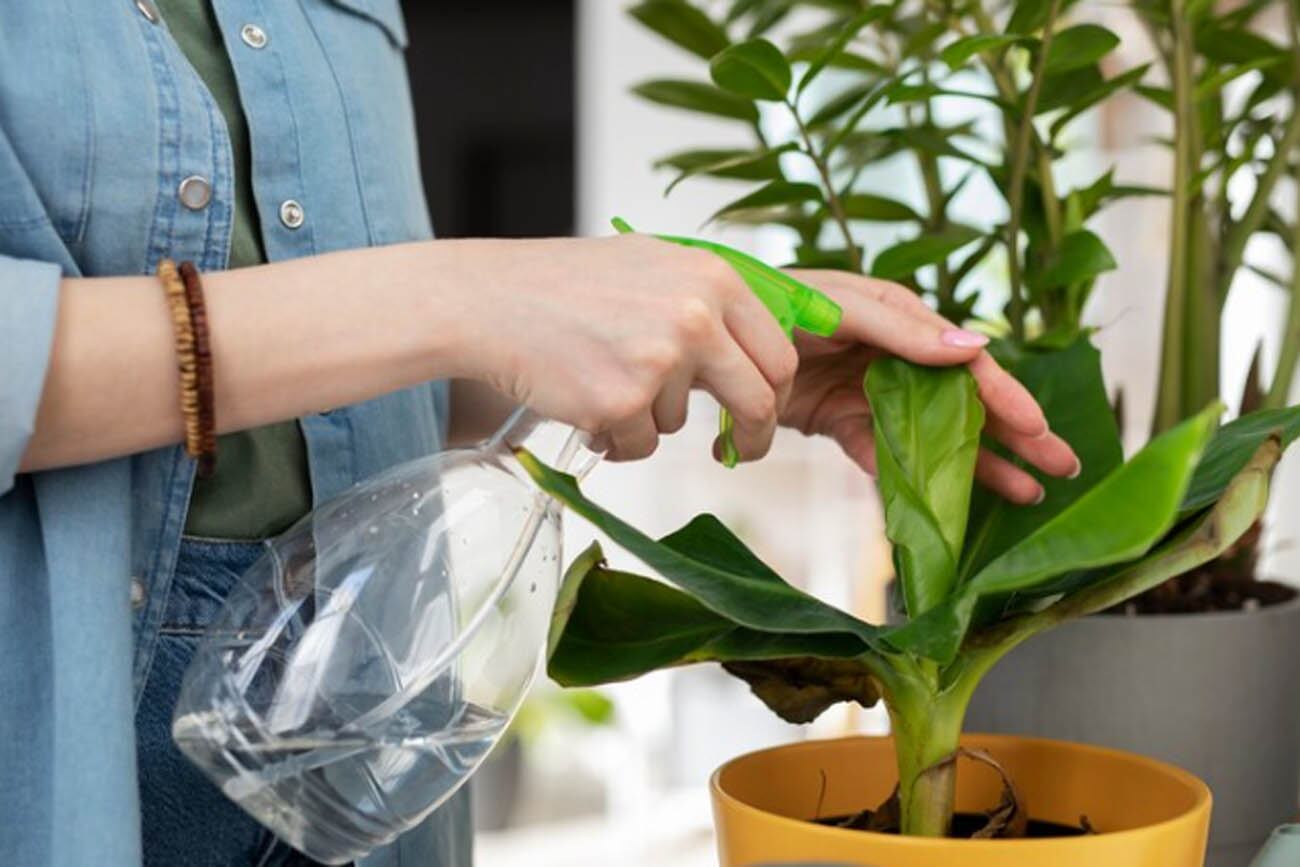 Coloquemos las plantas en macetas cerca de paredes, que les brindarán protección, o entre arbustos. Foto: Freepik