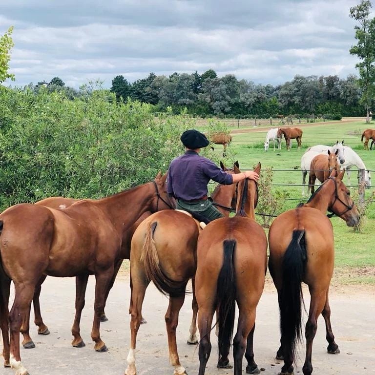 El jovencito nació en Corrientes y vive en un gran campo a  cercanías de Olavarría.