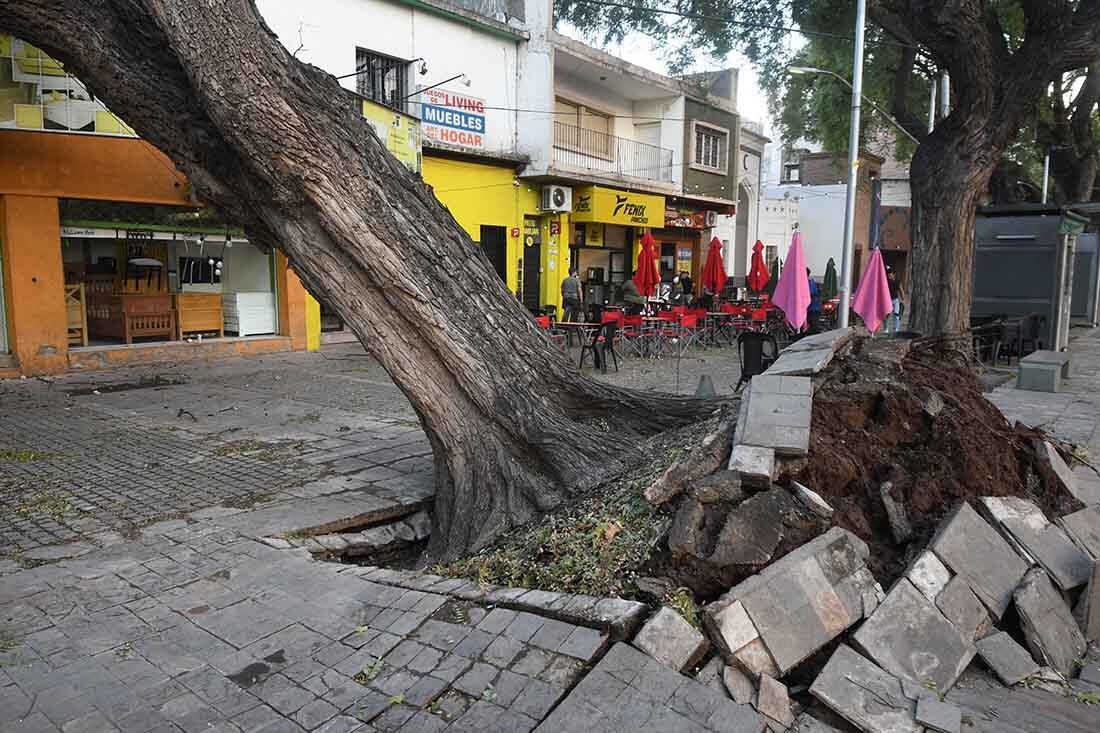 Foto: José Gutierrez/ Los Andes 