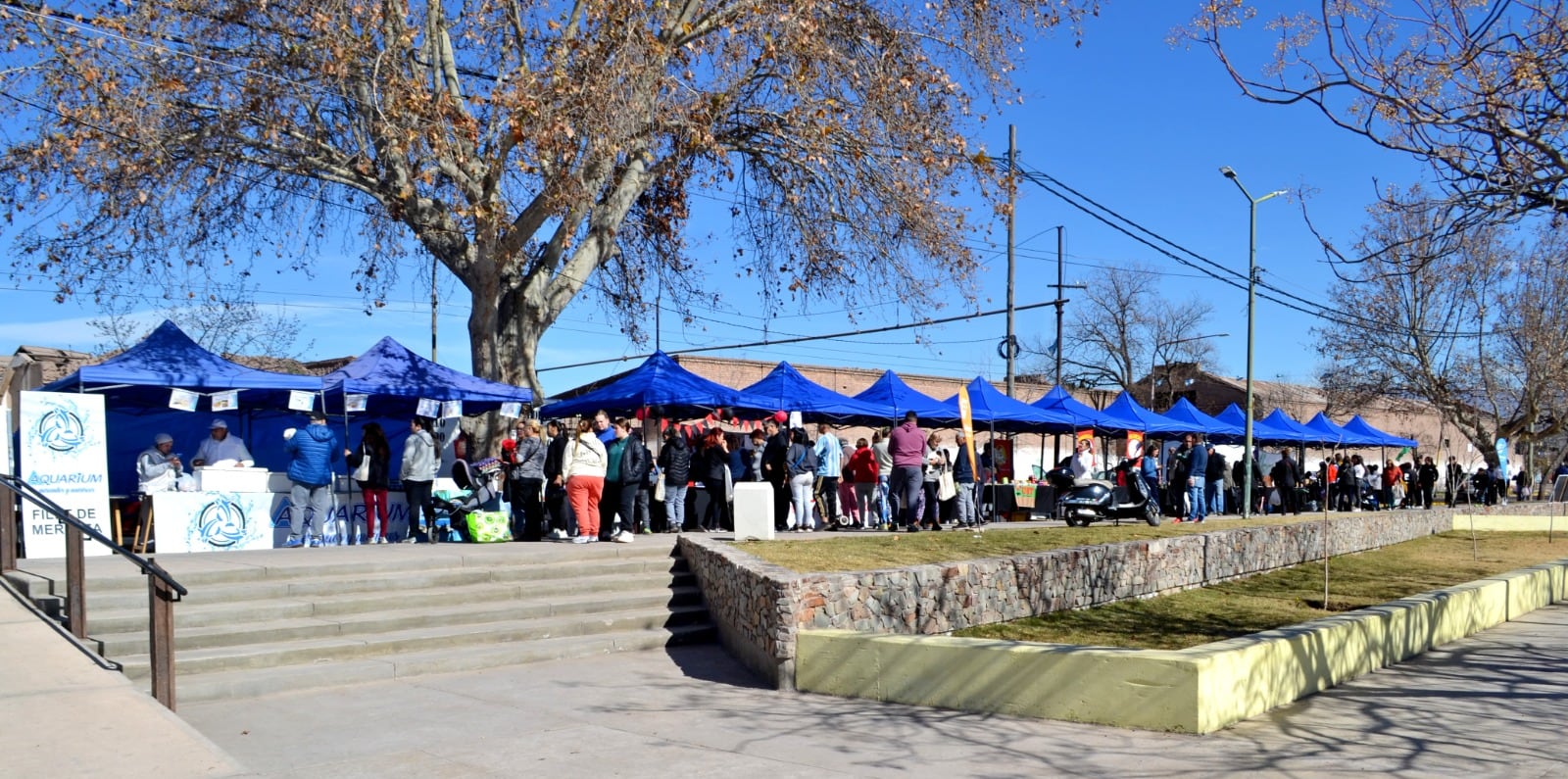 Maipú: nueva edición de la feria “Del productor al consumidor”