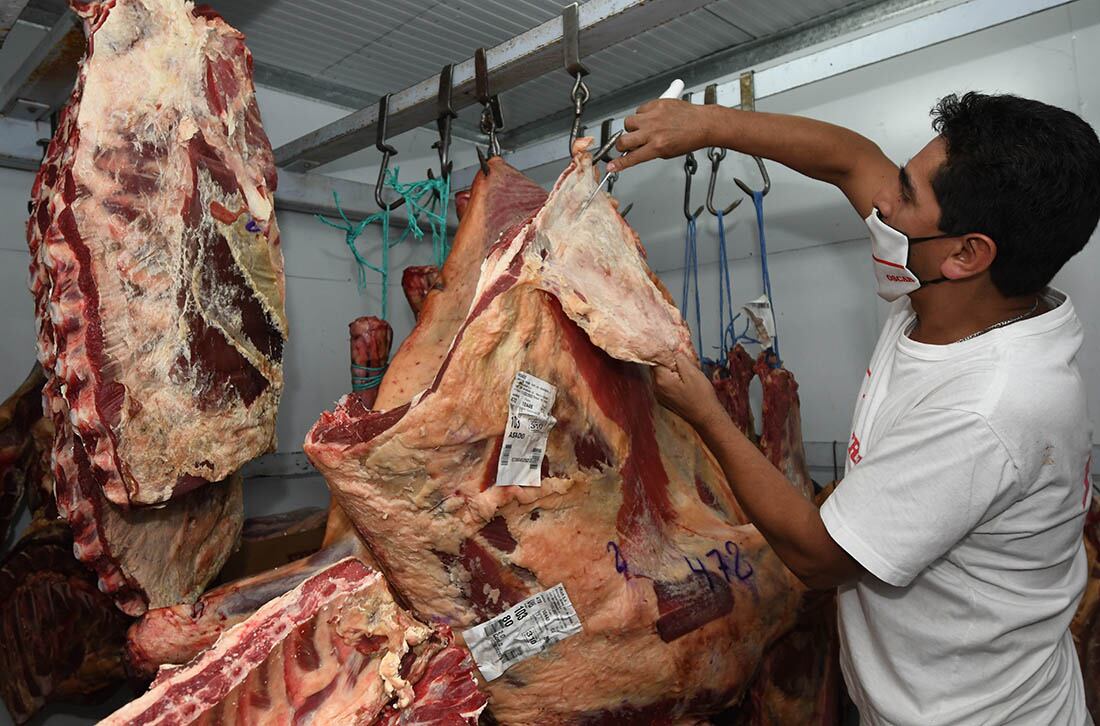 Aseguran que no habrá desabastecimiento de carne a pesar del paro del campo.