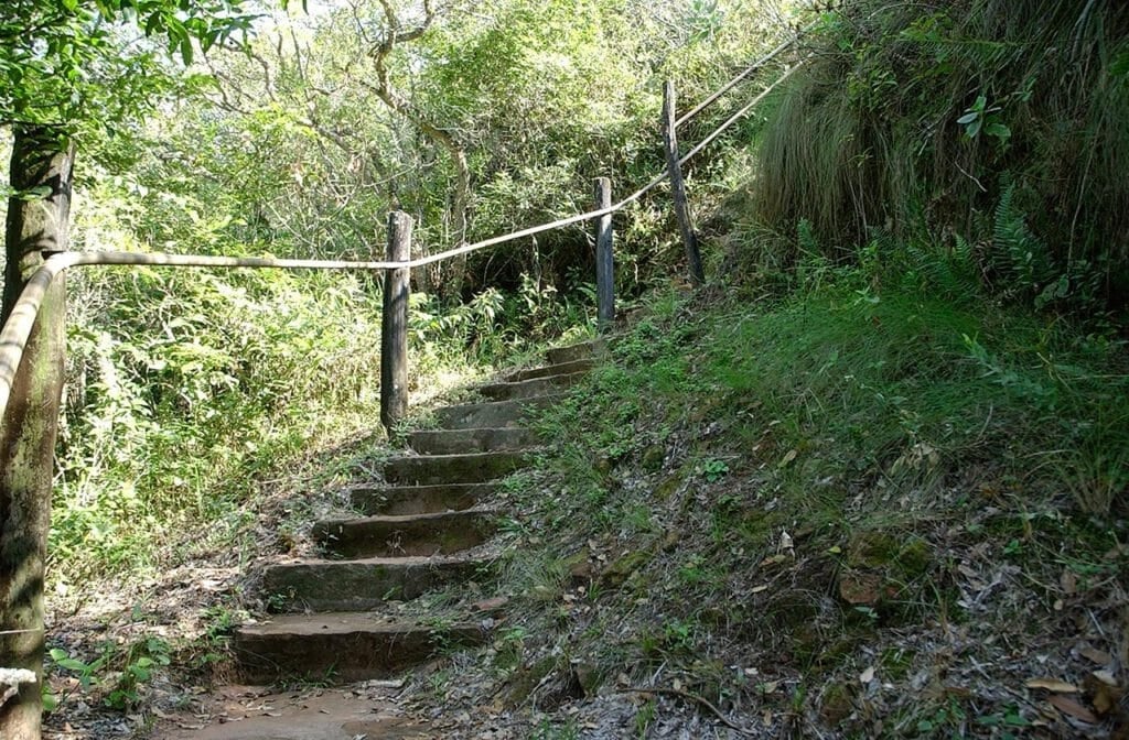 Imágenes del Parque Teyú Cuaré