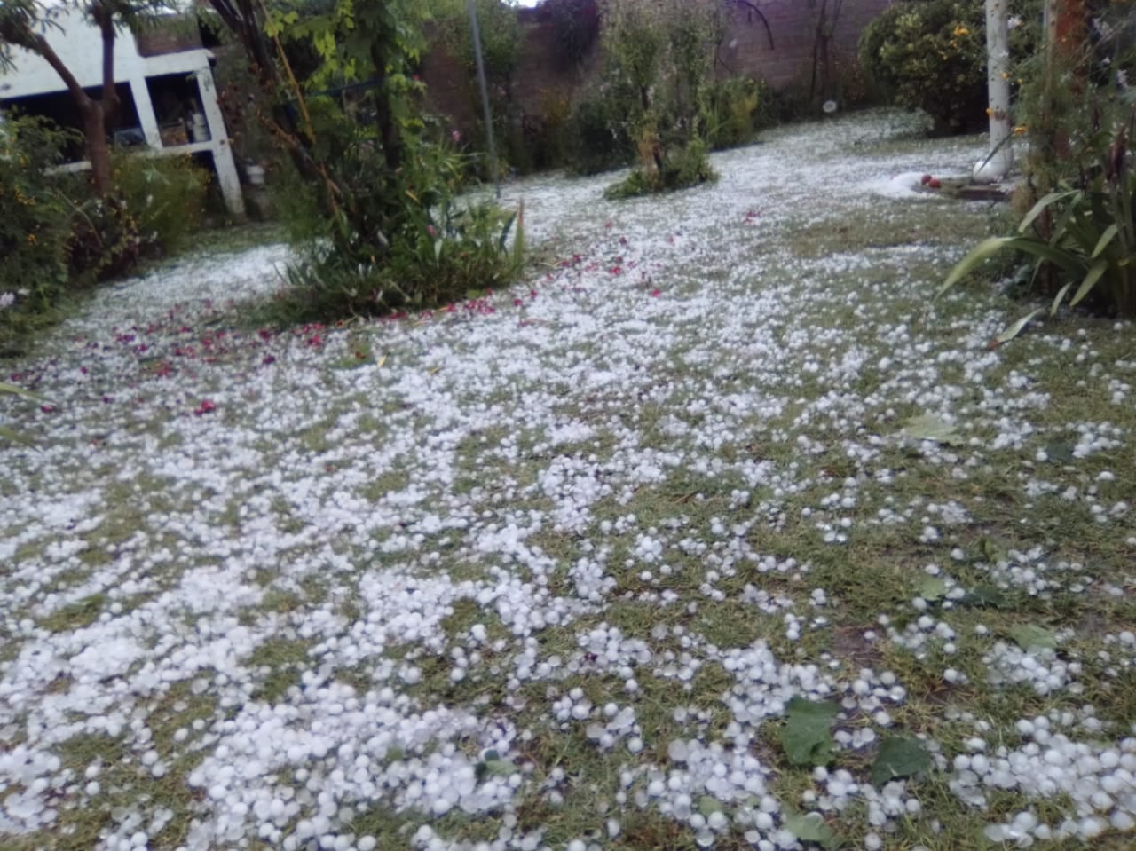 Una fuerte tormenta de granizo afectó varios distritos de Rivadavia. Foto gentileza Amanecer Rivadavia.