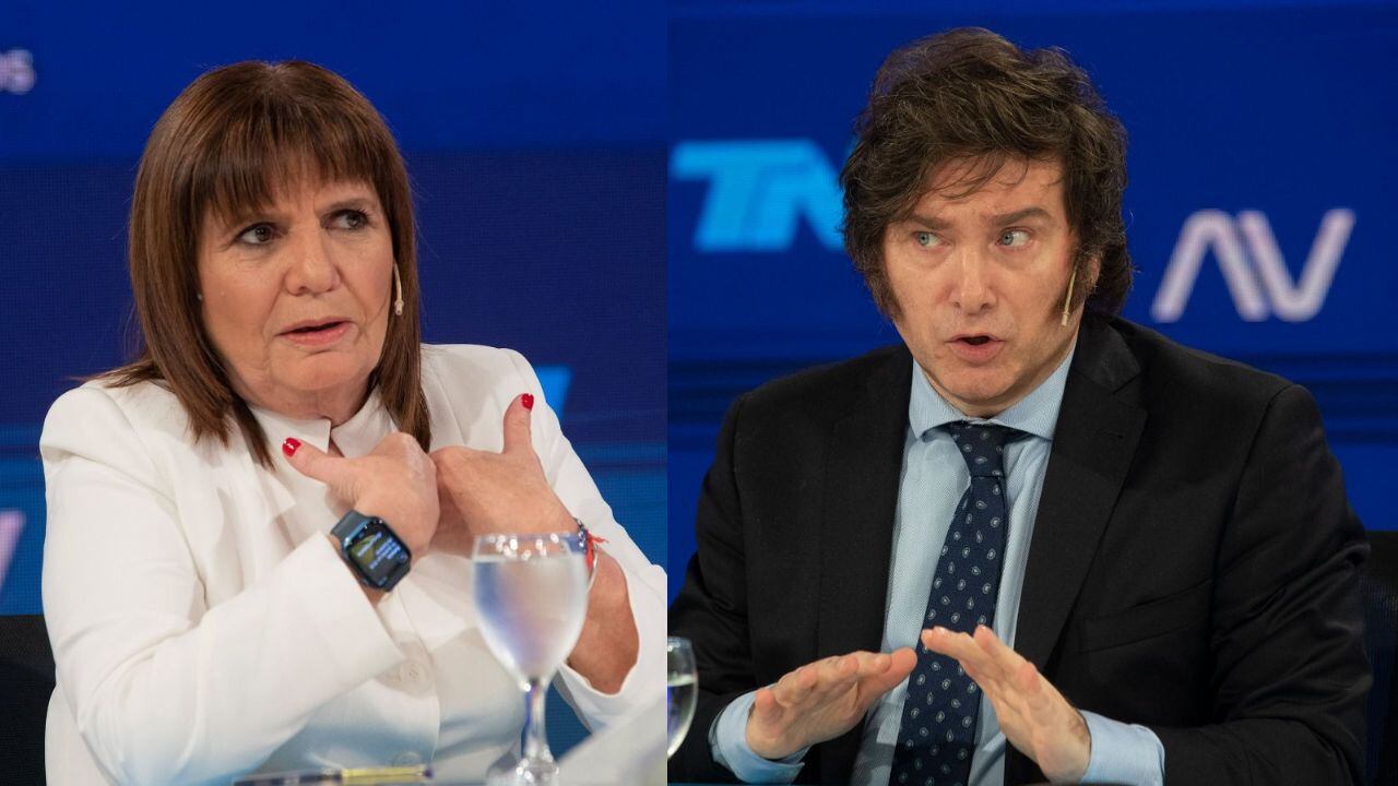 Bullrich y Milei se refirieron a los saqueos