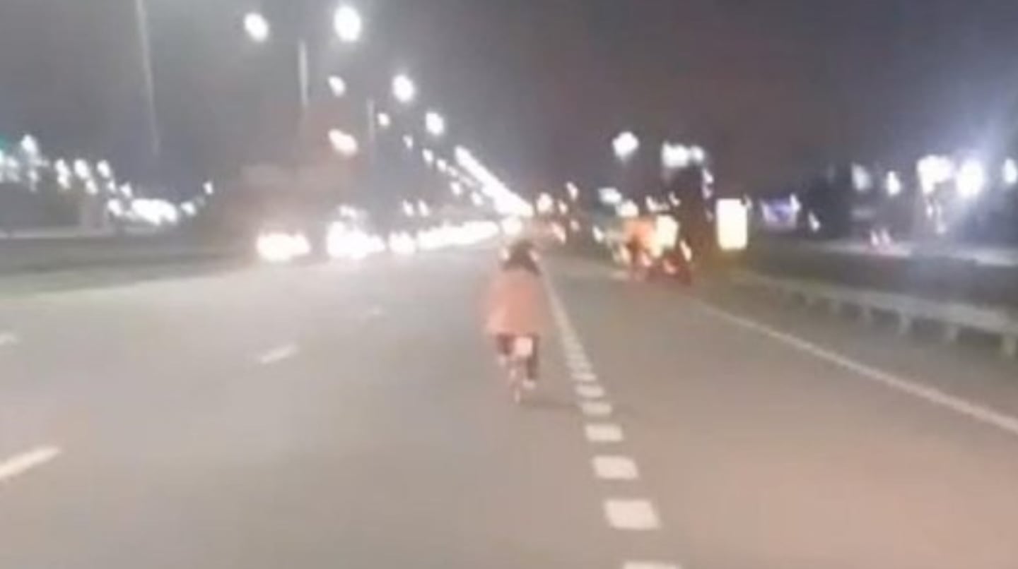 La nena manejó sola en bicicleta en plena Panamericana, a la altura de Pilar